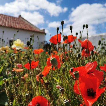 Al Mar Guesthouse サン・ルイス エクステリア 写真